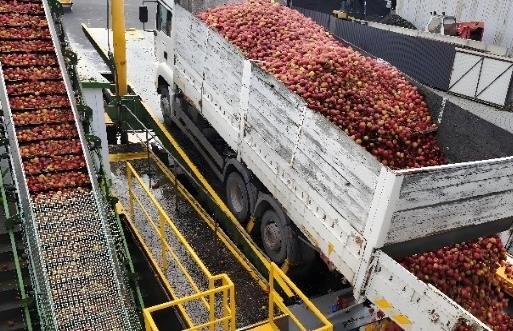 Fruit intake at the Ryki plant